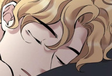 Release Schedule Honey Bear Chapter 78 English Season 2, A Romance That Hasn't Ended